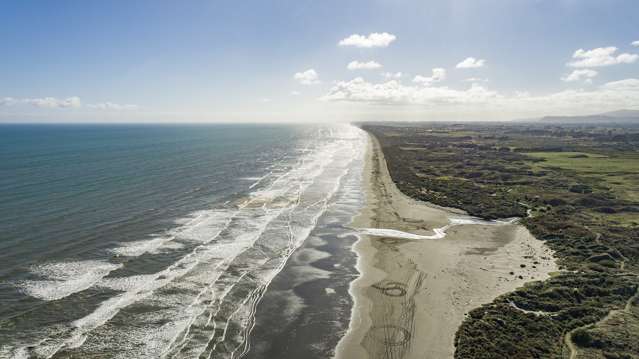 3 Beachview Grove Peka Peka_4