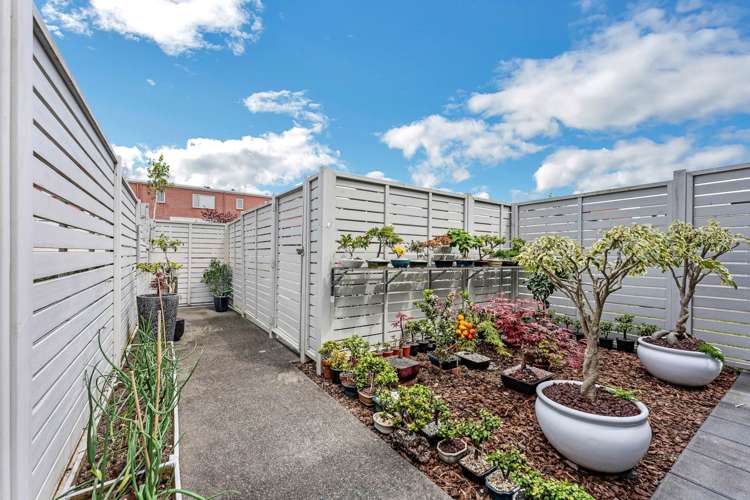 16 Whimbrel Road Flat Bush_13