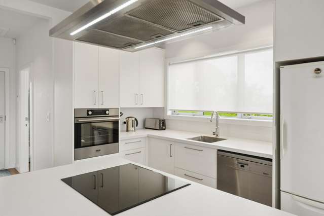 133 Nevay Road Miramar_4