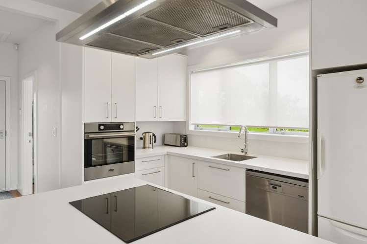 133 Nevay Road Miramar_4