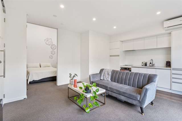 369 Murphys Road Flat Bush_3