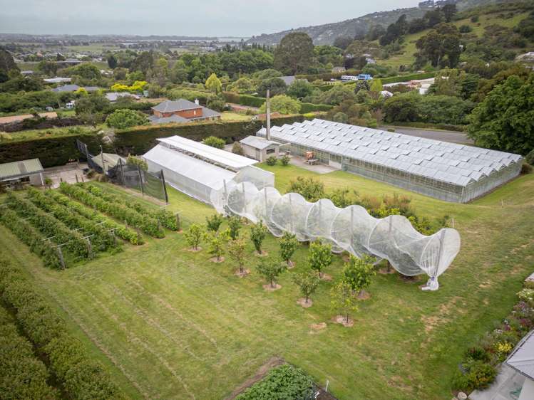 36A Horotane Valley Road Heathcote Valley_11