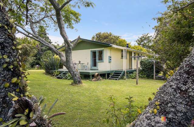 4 Banks Street Waihi_1