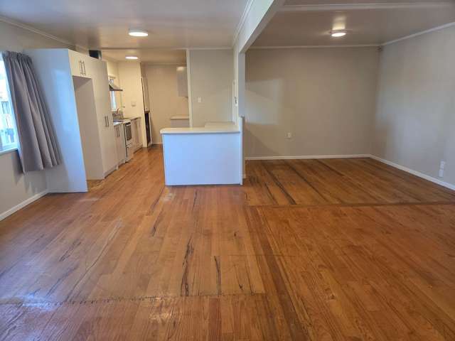 10 Freyberg Crescent Pukekohe_4