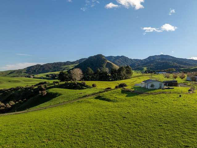 858 Oreipunga Road Maungatautari_1