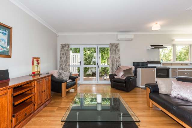 126 Avondale Road Greenmeadows_4