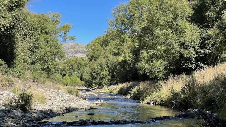 Chirnside Terrace Patearoa_15