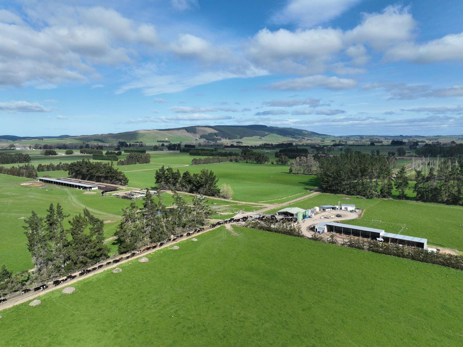 113 Scott Road Milton_0