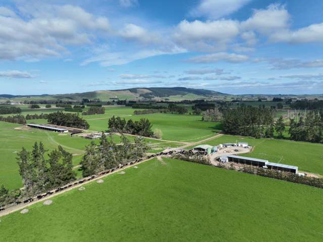 Irrigated Dairy Farm Close To Milton