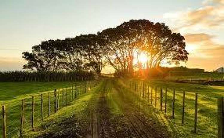 Address withheld Pukekohe_1