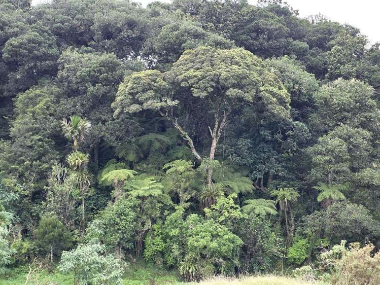 00 Waitaheke Road Ohaeawai_18