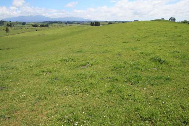 110-112 Mangaotea Road Tariki_1