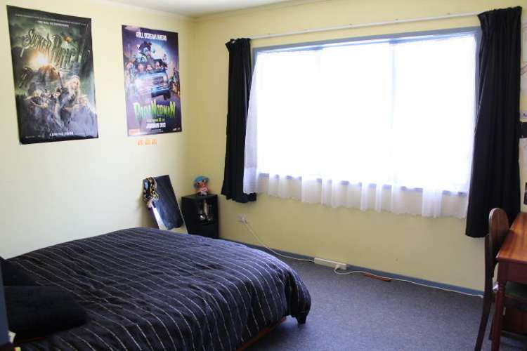 12a Wilson Street Hamilton East_7