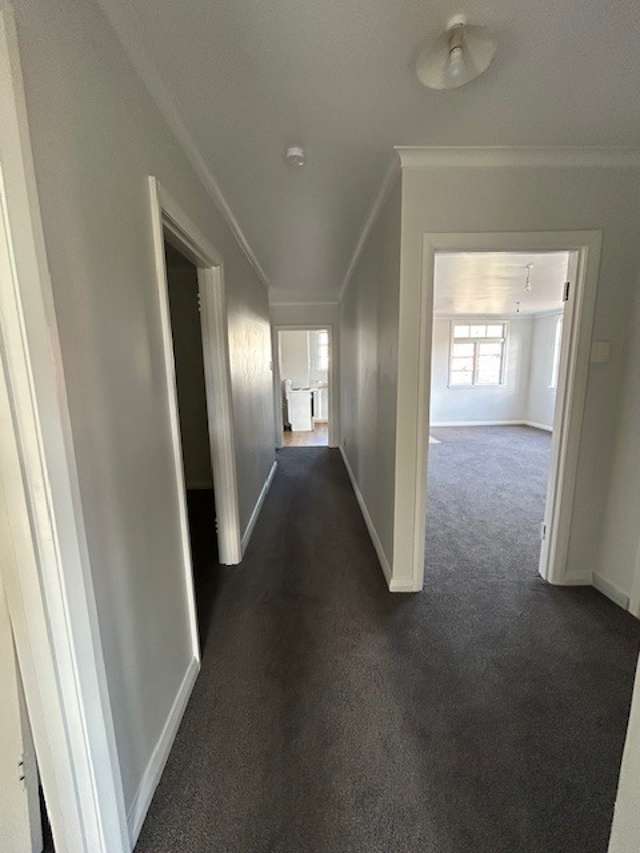 142 Hautapu Street 10993_2