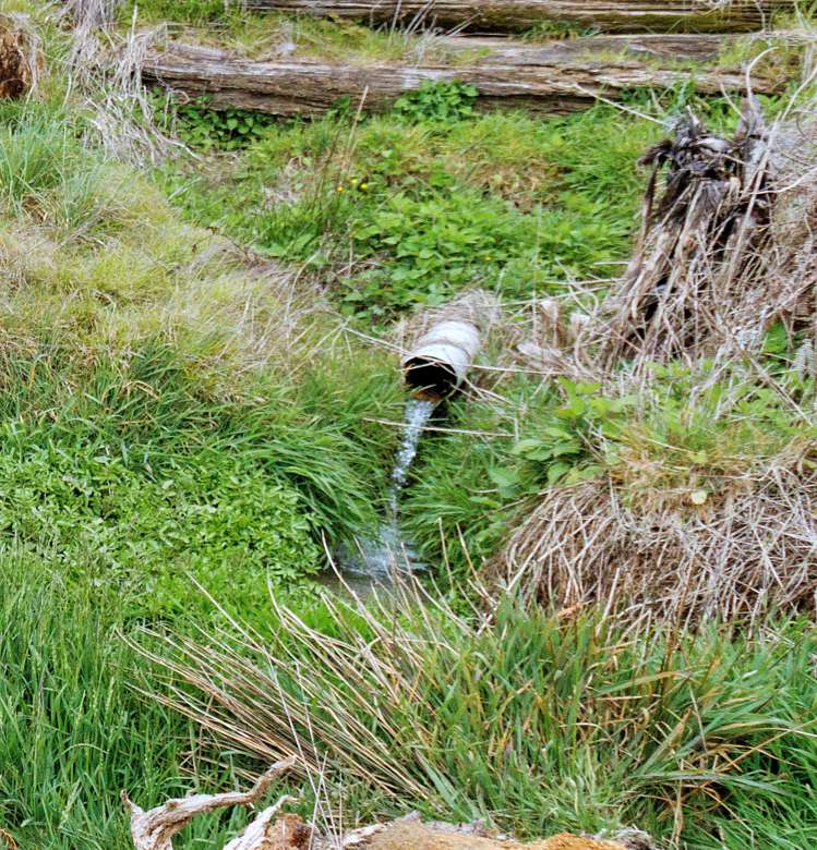 86 Mairoa Road Piopio_12