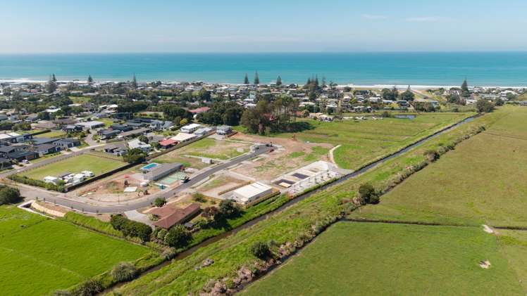 Citrus Avenue Waihi Beach_7