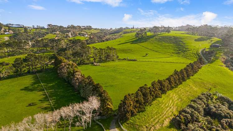 276 Taiapa Road Muriwai_10