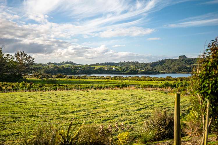 Lot 2 Egret Way Kerikeri_11