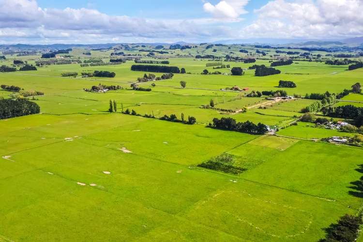 168 Range Road Woodville_25