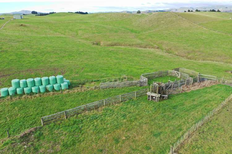 262 Tipapakuku Road Dannevirke_7