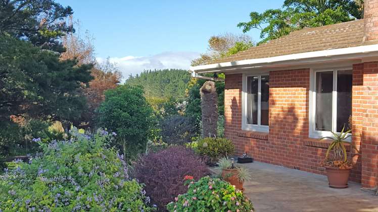 555 Rehia Road Ruawai_0