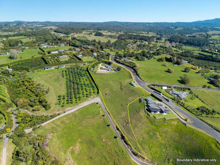 349A Whakamarama Road Whakamarama_42