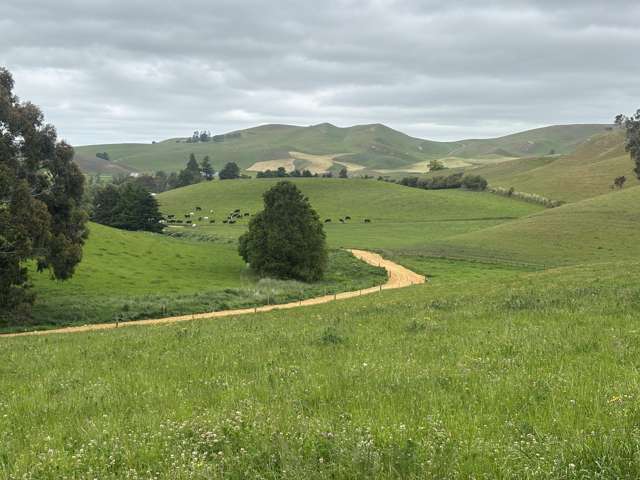 518 Elephant Hill Road Waimate_1