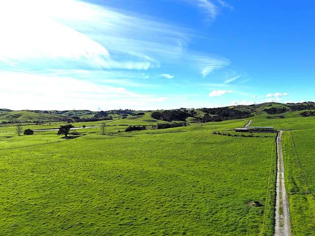 Lot 5 Greenhill Road Ruawai_3
