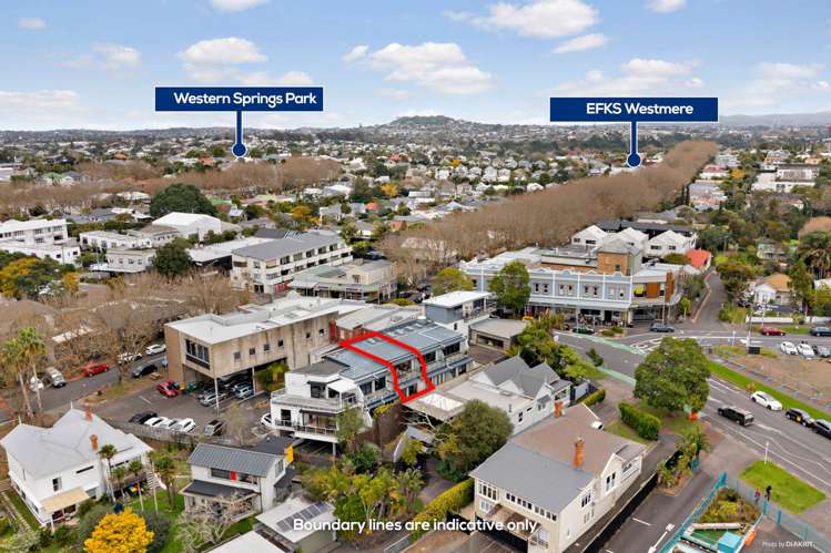 424D Richmond Road Grey Lynn_15