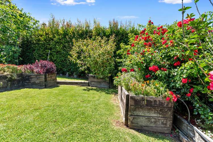 2 William Hadlow Place Hatfields Beach_12