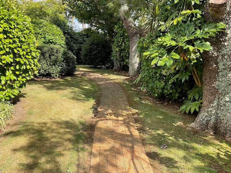 7/533 Manukau Road Epsom_10