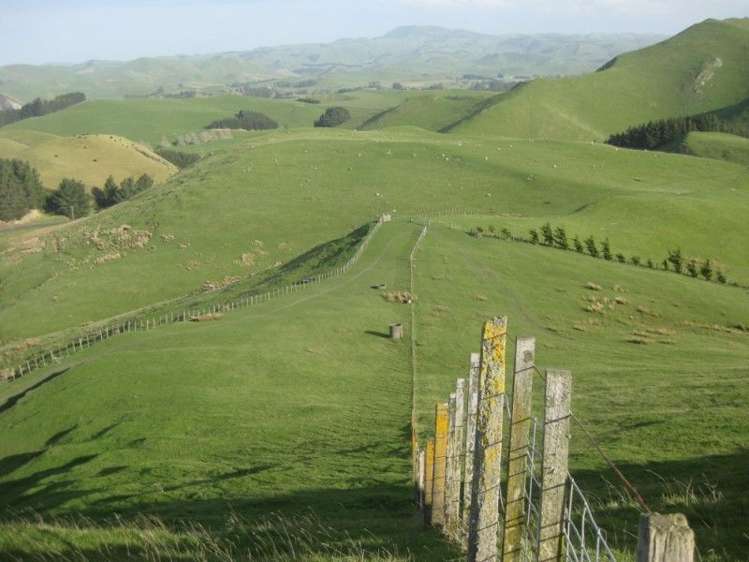 346 Waitahora Road Dannevirke_16