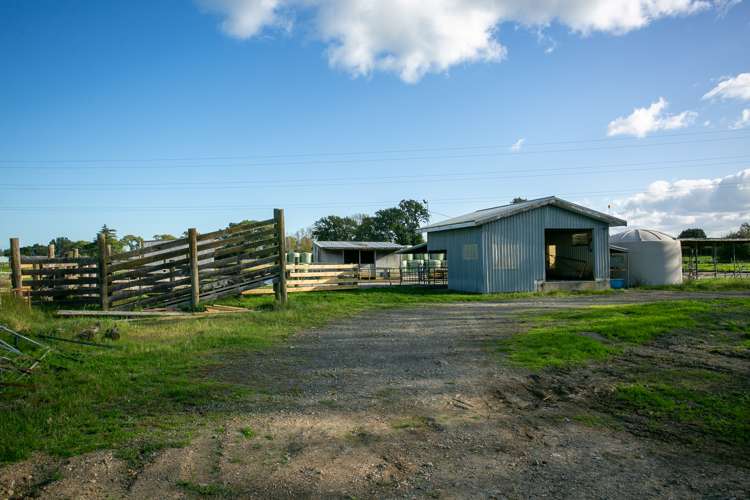378 Victoria Road Pukemoremore_8