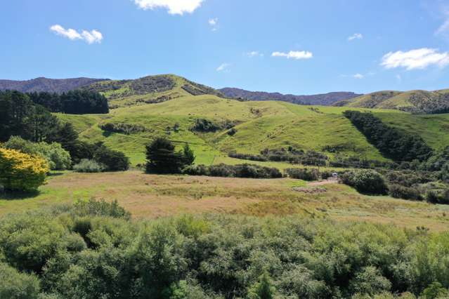 409 Mangaroa Road Eketahuna_4