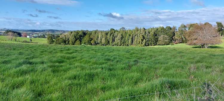 59 Griffin Road Maungaturoto_1