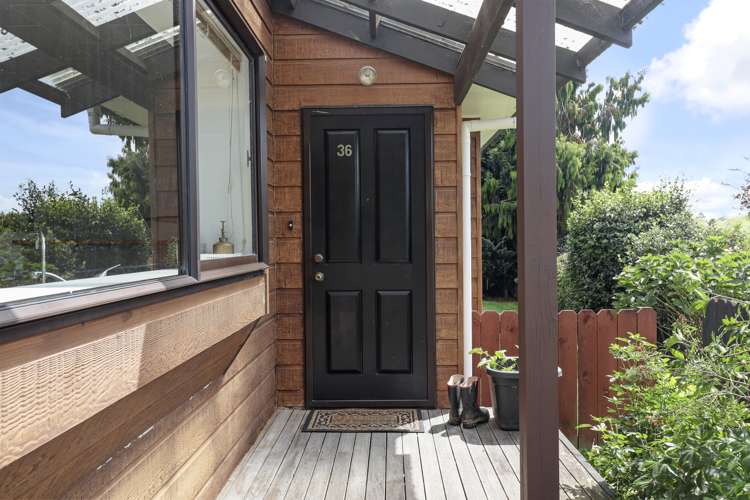 36 Deanna Avenue Morrinsville_1