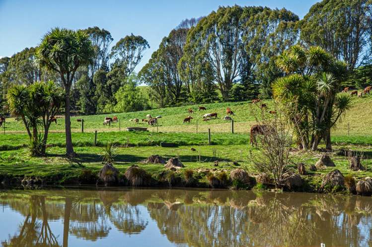 463 Dog Kennel Road Ikawai_18