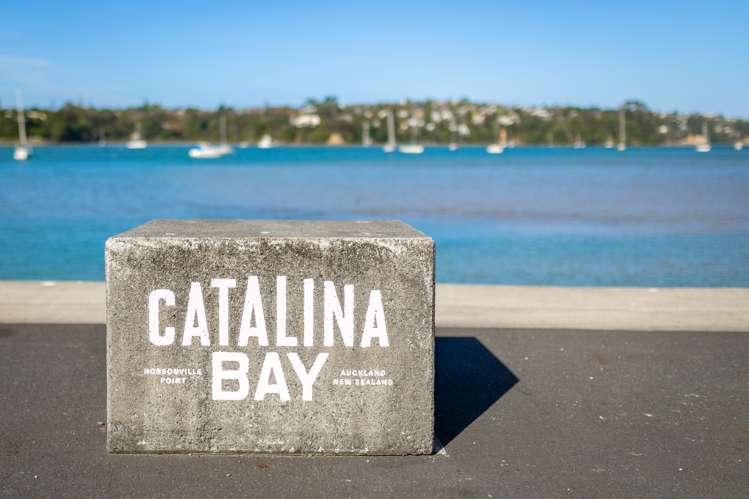 38 Wallace Road Hobsonville_27