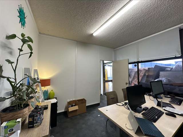 38A Galway Street Onehunga_4