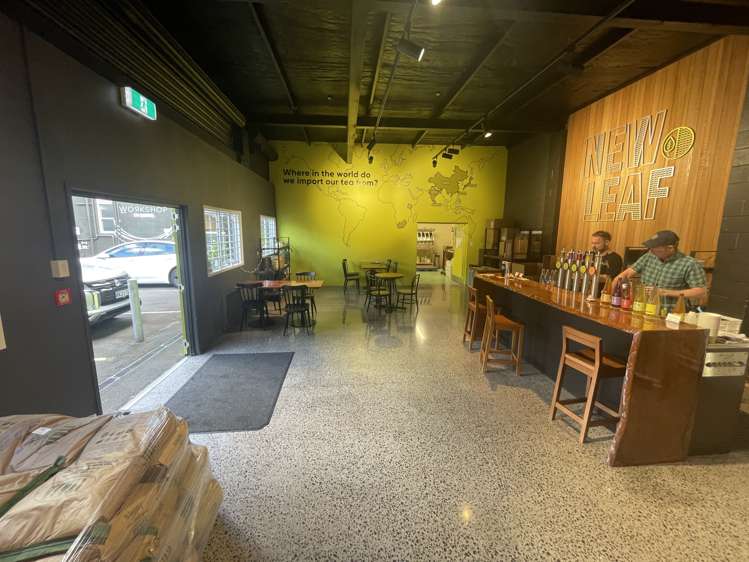 37a Crummer Road Grey Lynn_1