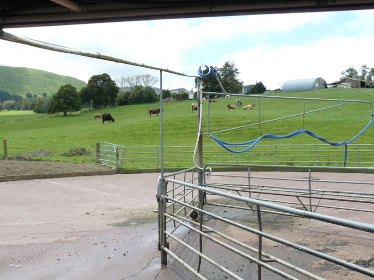 101 Pullin Road Ruatangata_13