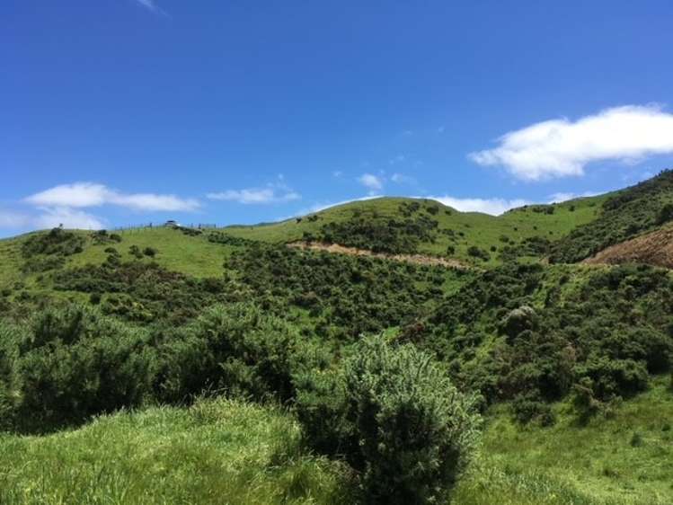 1039 Ohariu Valley Road Ohariu_7