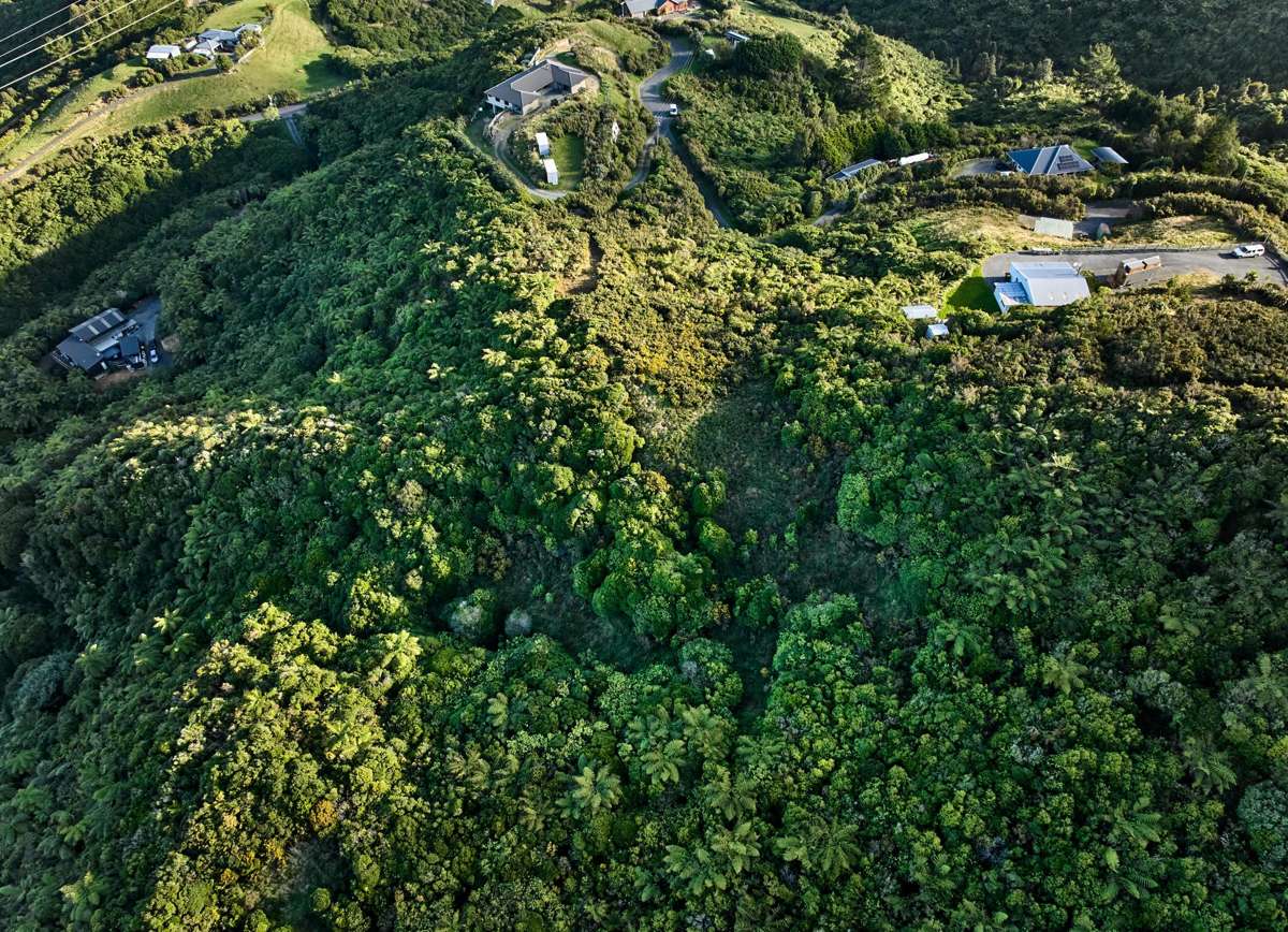 81D Kaitangata Crescent_1