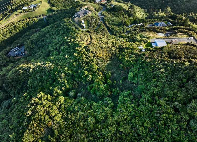 81D Kaitangata Crescent_5