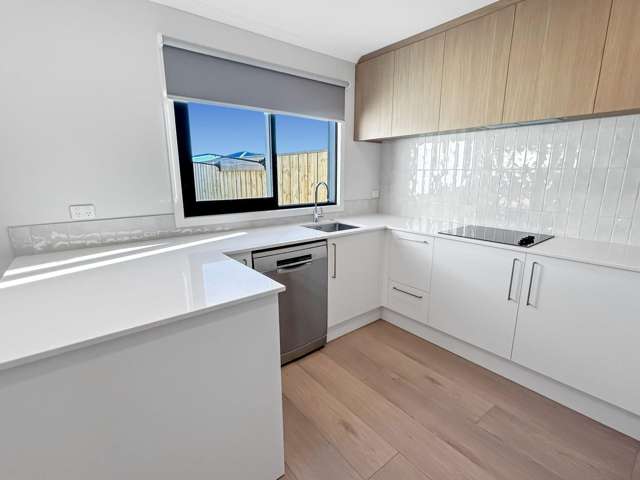 117 Jean Archie Dr Rolleston_1