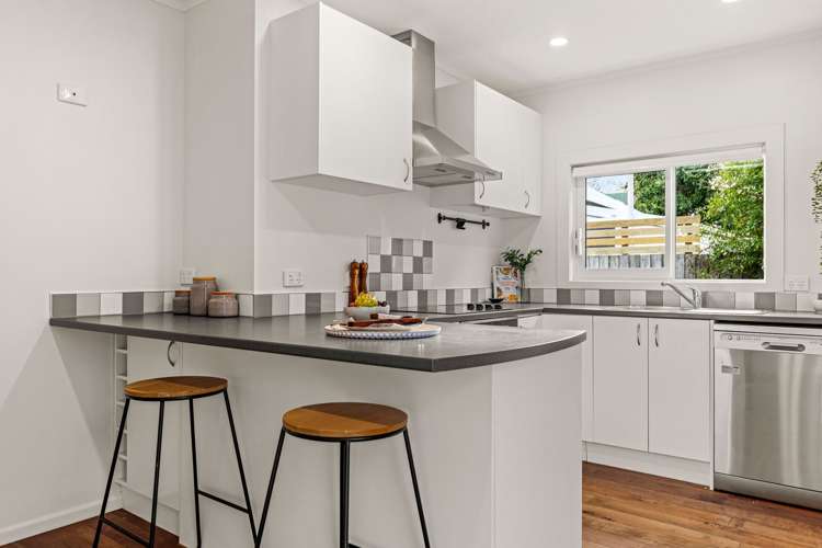 20 Montrose Street Sydenham_2