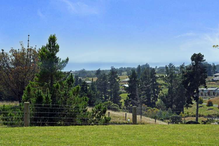64 Westmere Drive Tasman_6