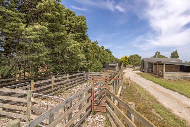 828 Methven Highway Winchmore_18