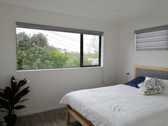 4/11 Selkirk Road Mt Albert_2