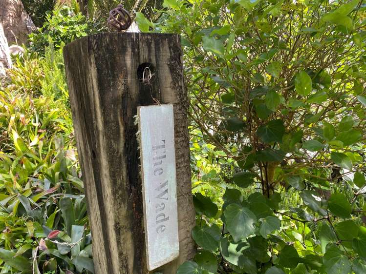 251 Wade River Road Whangaparaoa_23